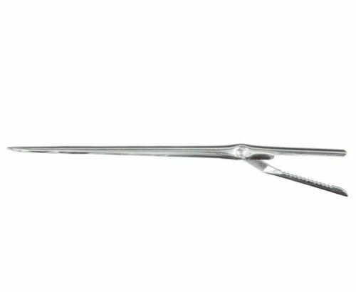 AGO INOX PER LARDARE CON MOLLA 19,5CM