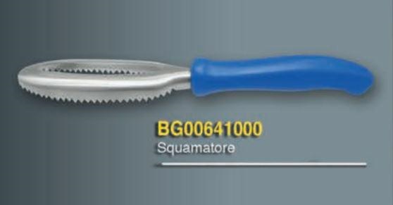 SQUAMAPESCE BARGOIN OVALE DENTATO MANICO BLU