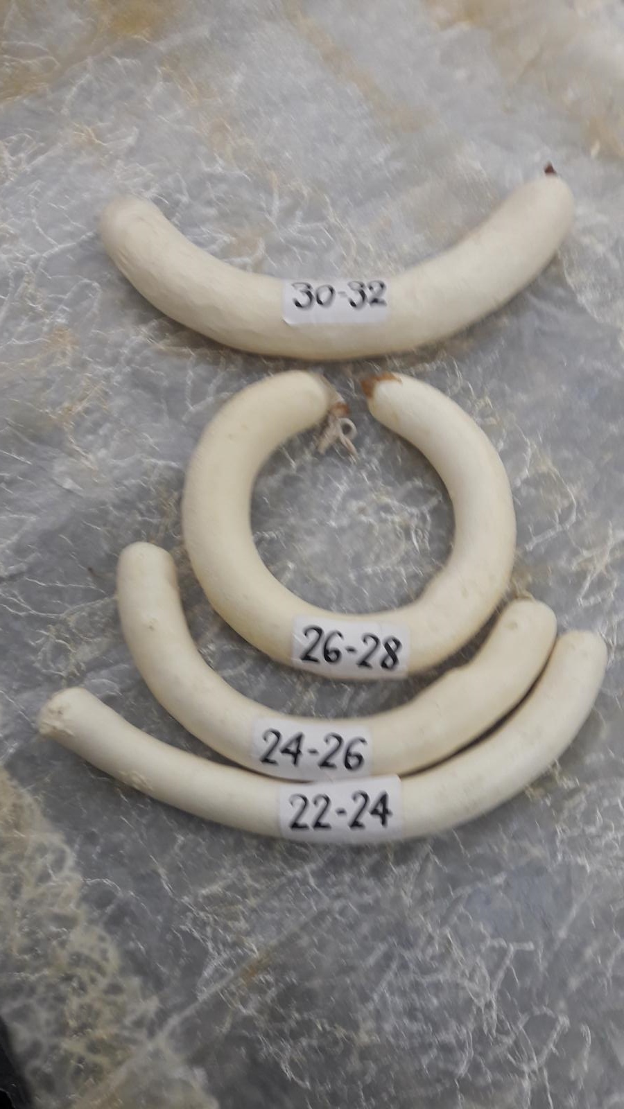 BUDELLO MONTONE 24/26 A 60mt (2-3mt) For