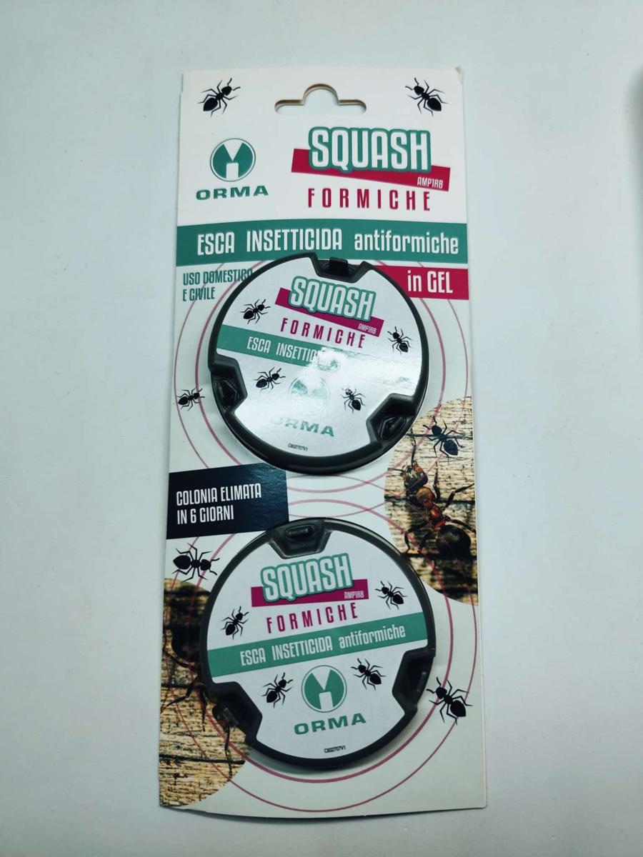INSET.TRAPPOLA SQUASH FORMICHE 2pz                                 24/ct