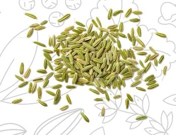 SEMI FINOCCHIO MACINATI 100gr Italdroghe orig. Egitto              25/ct