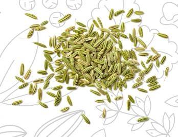 SEMI FINOCCHIO MACINATI 100gr Italdroghe orig. Egitto              25/ct