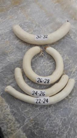 BUDELLO MONTONE 22/24 60mt LSH (fili 2/5mt)