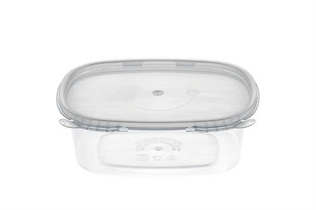 CONT.SecureBOX SCB250 pz.50 in PP 120x90h45 Termoplast          12x4/str